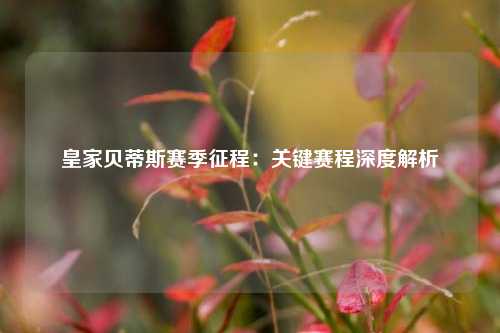 皇家贝蒂斯赛季征程：关键赛程深度解析