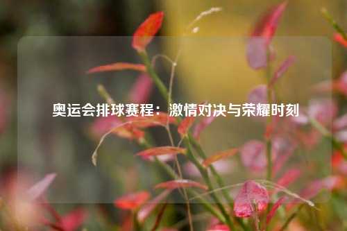  奥运会排球赛程：激情对决与荣耀时刻
