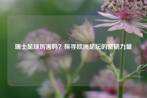 瑞士足球厉害吗？探寻欧洲足坛的坚韧力量