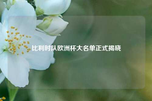 比利时队欧洲杯大名单正式揭晓