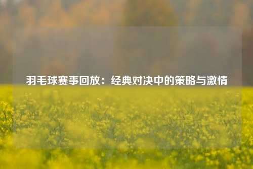 羽毛球赛事回放：经典对决中的策略与激情