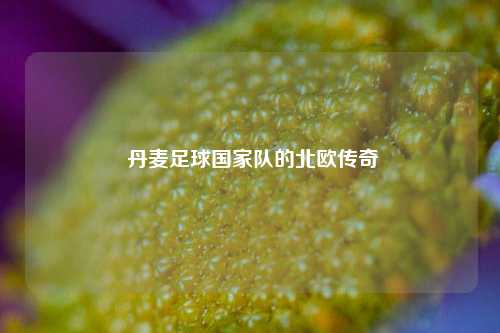  丹麦足球国家队的北欧传奇